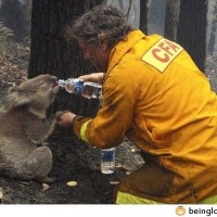 This Is From A Few Years Back During Some Pretty Severe Bushfires, But It Still Gets Me Everytime