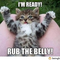 Rub The Belly Now!