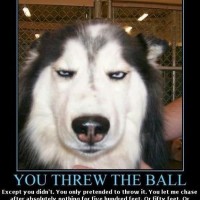 You Threw The Ball