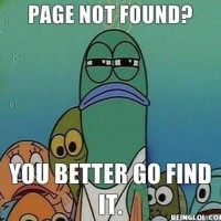 When My Browser Doesn't Find A Page