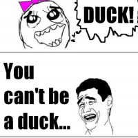 Duck Wtf .