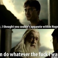 Dumbledore Breaks All The Rules