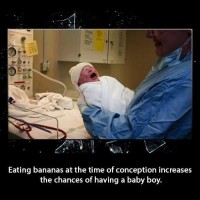 Did You Know That Eating Bananas During Conception....