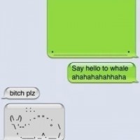 Say Hello To Whale B*tch! Xd