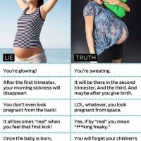 The Truths And Lies About Pregnancy