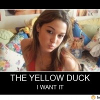 The Yellow Duck