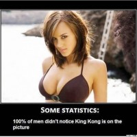 Didn't Notice King Kong?