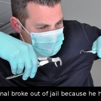 Did You Know That A Swedish Criminal Broke Out Of Jail Because He Had A…