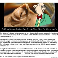 Did You Know That A Sniffing Peanut Butter Can Give A Clear Sign For..