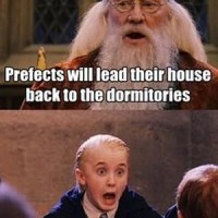 Trolling Dumbledore