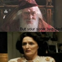 Dumbledore Trolling. Xd