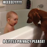 A Little Privacy Please!