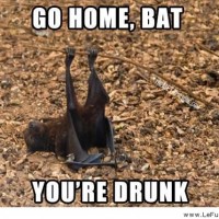 Go Home Bat!