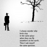 I Always Wonder Why…