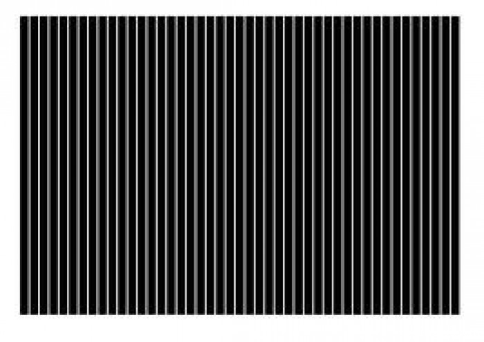 How many white lines are there?